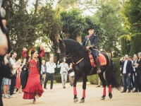 1780991441_elf-sevilla-304.jpg